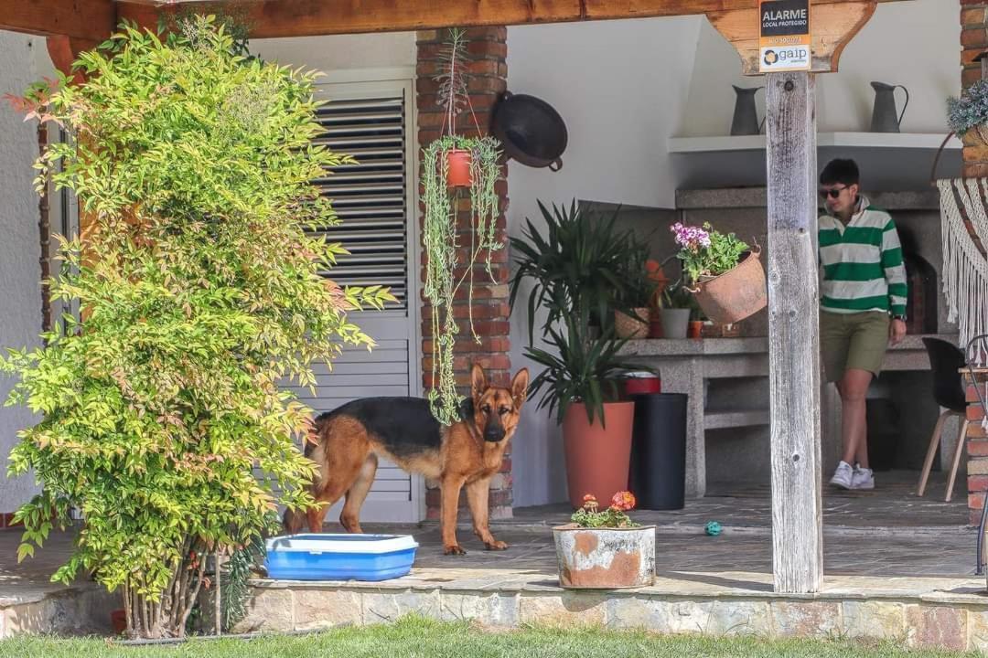 Villa Dos Corceis Esposende Dış mekan fotoğraf